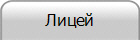 Лицей